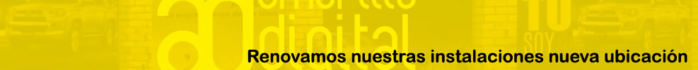 Visita nuestra galería de cuadros decorativos